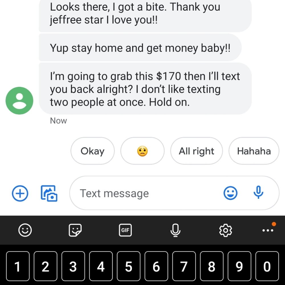 SCAMMER - Picture 4 of 4